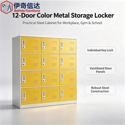 12 Compartment Steel Locker